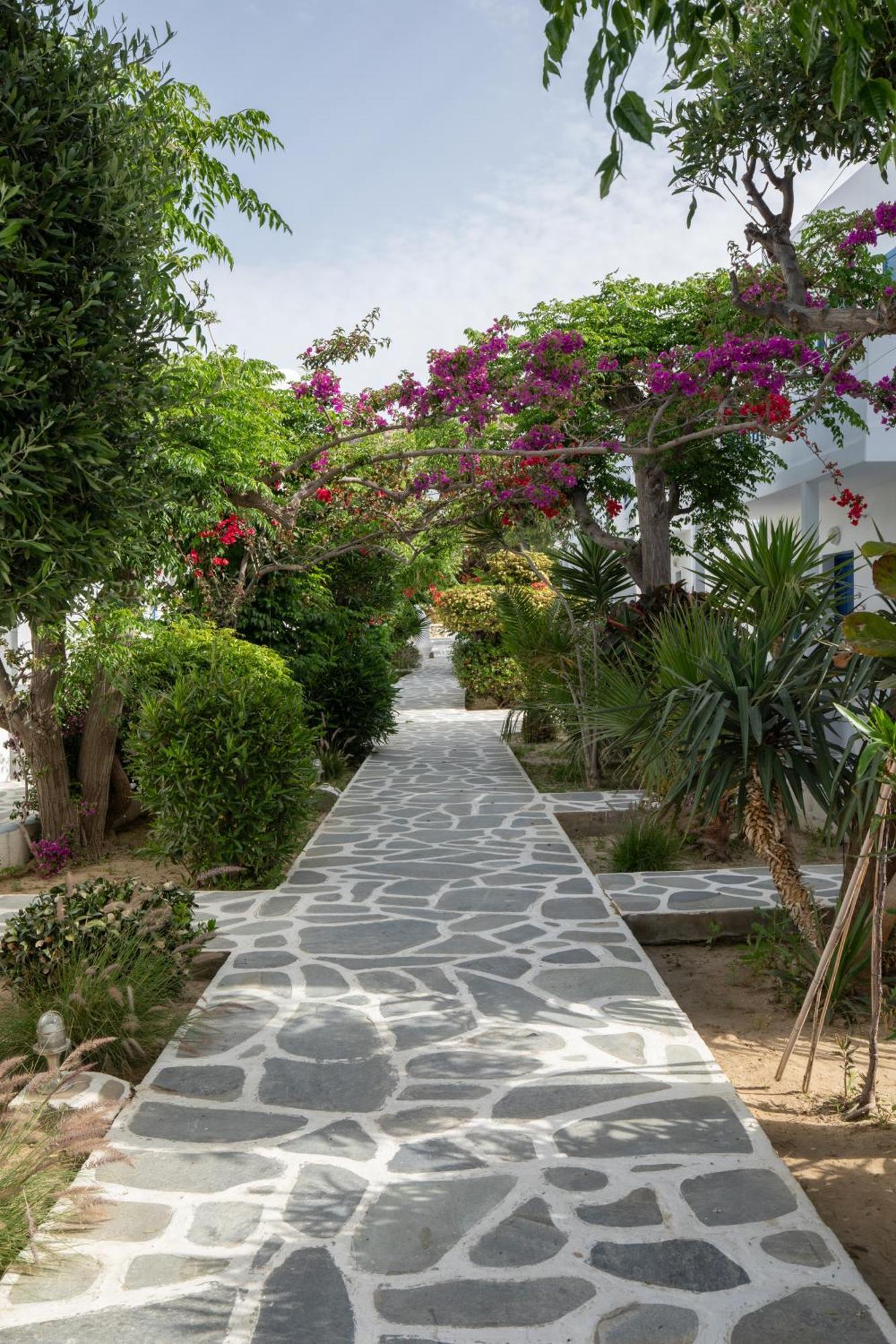 Hotel Acrogiali Beachfront Mykonos Platys Gialos (Mykonos)