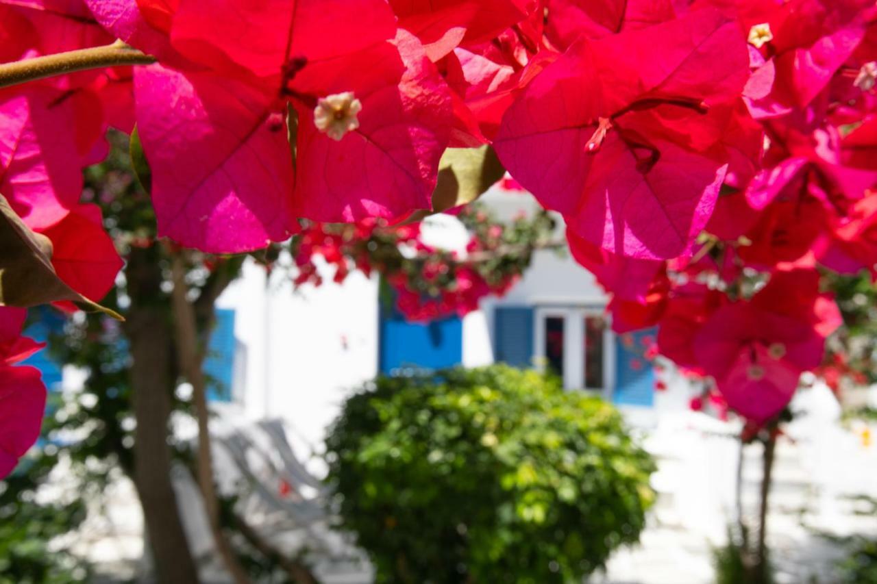 Hotel Acrogiali Beachfront Mykonos